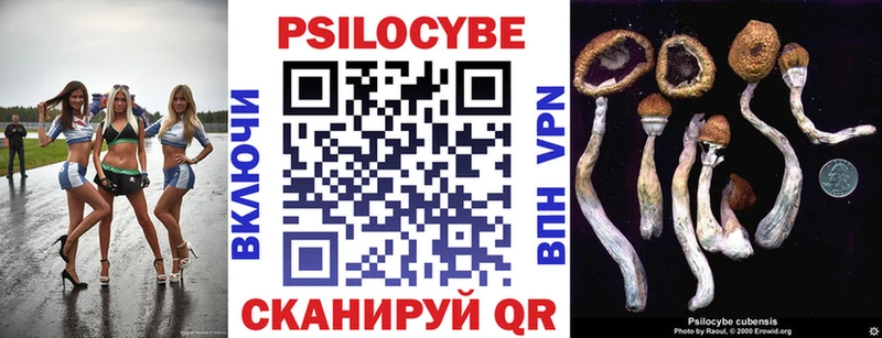 Псилоцибиновые грибы Psilocybe  Калуга 